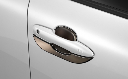 Ốp hõm tay nắm cửa (mạ Crôm) (màu Ghi đậm)