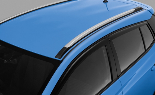 Ốp trang trí nóc xe