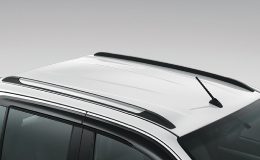 Ốp trang trí nóc xe (2 chiếc/ Bộ)