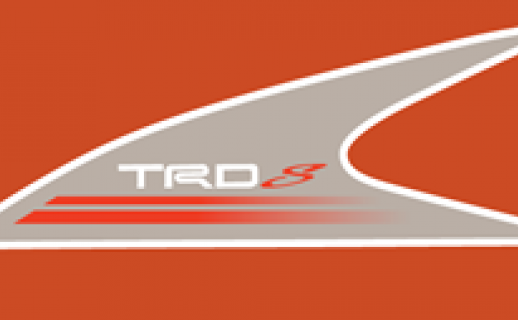 Tem dán sườn xe (màu Ghi)