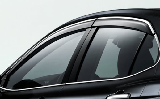 Vè che mưa (PC162-06001)