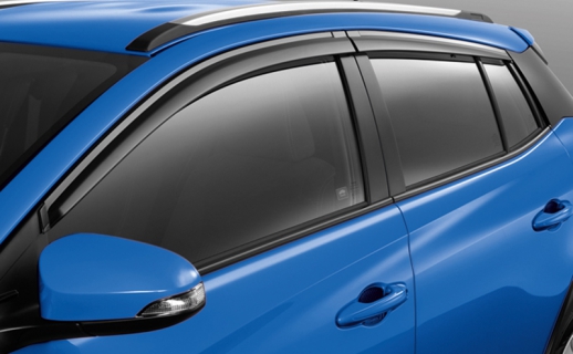 Vè che mưa (PC162-0D006)